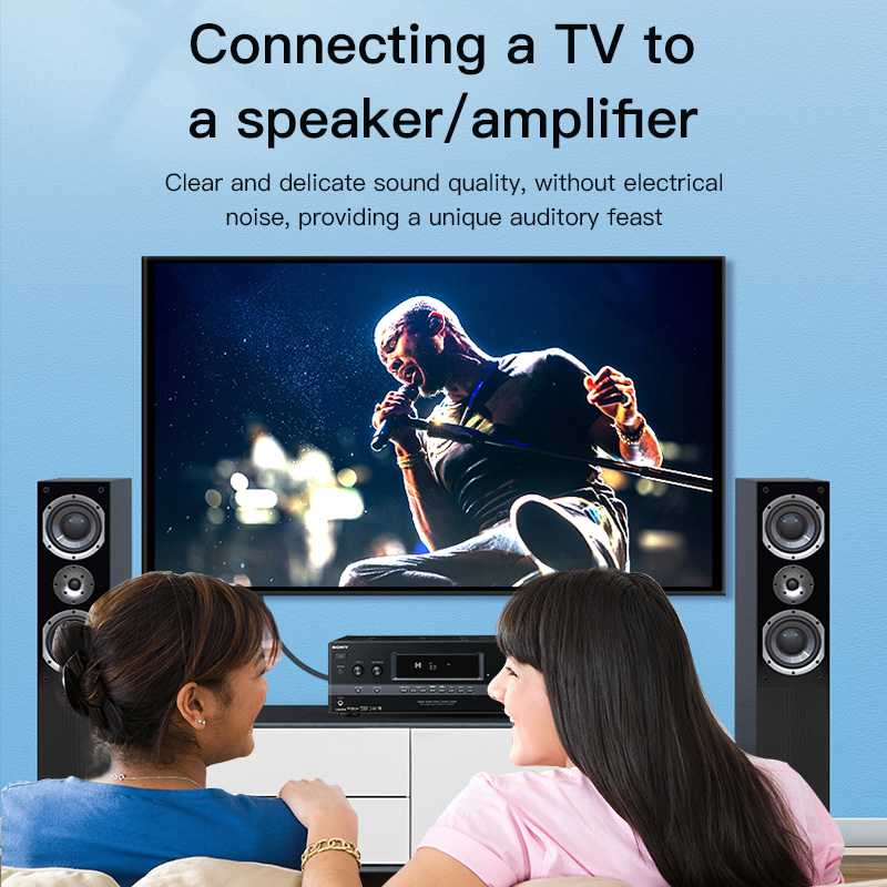 CHOSEAL RCA Cable Digital Coax - đánh giá và giá Home Cinema Tv